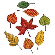 Autumn leafs vector set
