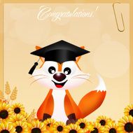 red fox graduate N2