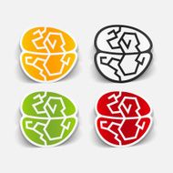 realistic design element brain N18
