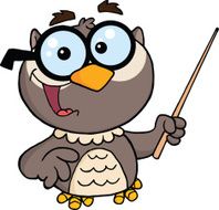 Owl Holding A Pointer N2