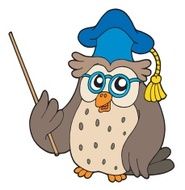 Owl Teacher N4