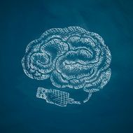 Brain Icon N37