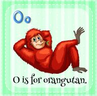 Letter O N40