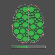 Human Brain N32
