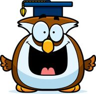 Little Owl Professor N2