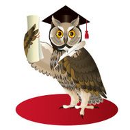Wise Owl N20
