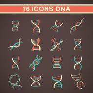 Icon DNA