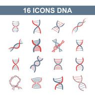 Icon DNA N3