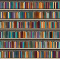 Bookshelf N19