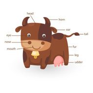 cow vocabulary part of body vector N2