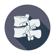 Anatomy spine icon N3