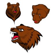 brown bear heads