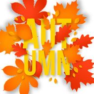Autumn text with leaves Back to school