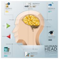 Human Head With Brain Three Dimension Polygon Education Infographic