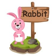 animal alphabet letter R for rabbit N2