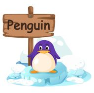 animal alphabet letter P for penguin N2