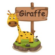 animal alphabet letter G for giraffe N2