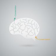 Brain Icon N40