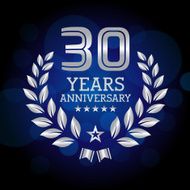 Thirty Years Anniversary Emblem N8