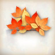 Autumn Vector Fall Leaves N2