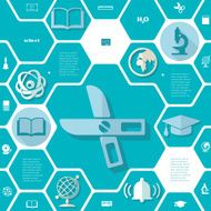 Education flat infographic N138