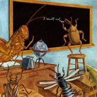 Insect School N2