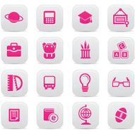 Education buttons Pink version vector