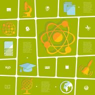 Education flat infographic N147