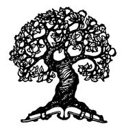 Large Tree N2