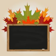 Maple leaves and black chalkboard N2