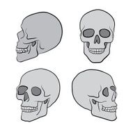 Human Skulls N3