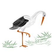 White Stork N3