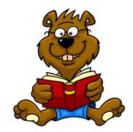 Book Bear