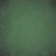 Green school board