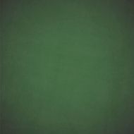 Green school board N2