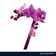 Alphabet number seven with flower Vector illustration