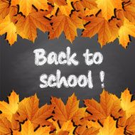 Back to school written on blackboard with autumn leaves N2