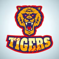 TIGERS N3
