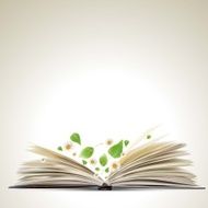 Open book Vector illustration N3