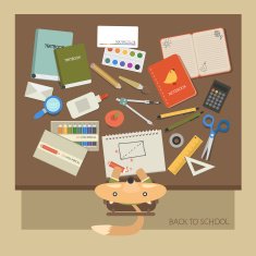 Back To School N1181