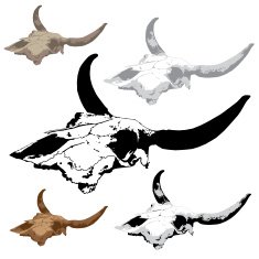 Animal scull vectors