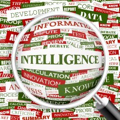 INTELLIGENCE N4