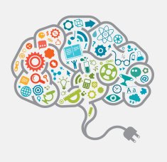 Studying Brain Concept
