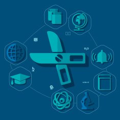 Education flat infographic N134