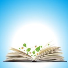 Open book Vector illustration N2