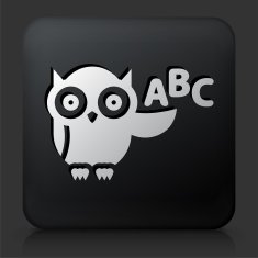 Black Square Button with ABC Owl