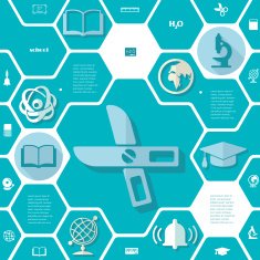 Education flat infographic N138