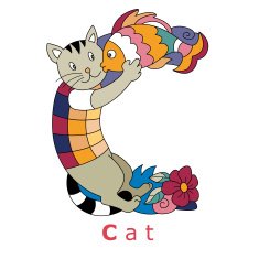 C-cat N2