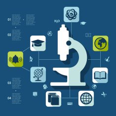 Education flat infographic N143