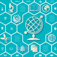 Education flat infographic N146